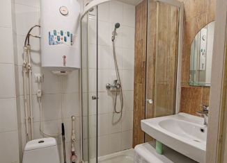 Продается однокомнатная квартира, 18.3 м2, Татарстан, улица Голубятникова, 11А