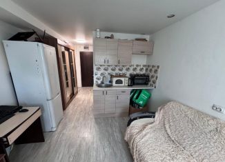 Продаю квартиру студию, 19.3 м2, Новосибирск, Сухановская улица, 6А