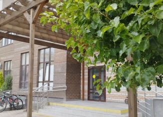 1-комнатная квартира в аренду, 35 м2, Анапа, улица Толстого, 130к3