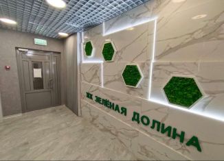 Продается 1-комнатная квартира, 50.1 м2, Воронеж, переулок Здоровья, 90Г/1к2