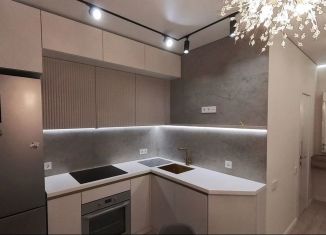 1-ком. квартира в аренду, 42 м2, Казань, улица Николая Ершова, 66В