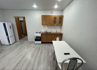 1-комнатная квартира в аренду, 30 м2, Казань, улица Ярышлар, 2А
