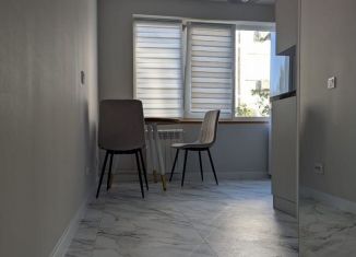 Сдача в аренду 1-комнатной квартиры, 30.1 м2, Краснодар, улица Селезнёва, микрорайон Черемушки