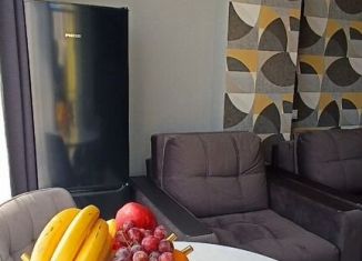 Сдаю квартиру студию, 30 м2, Сочи, улица Гастелло, 28к2