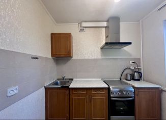 Продажа однокомнатной квартиры, 31 м2, Санкт-Петербург, шоссе Революции, 33к3, шоссе Революции