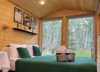 Дом в аренду, 18 м2, деревня Зелёная Поляна, Курортная улица, 3/1