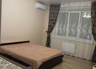 Сдается в аренду 1-комнатная квартира, 43.5 м2, Таганрог, Парковый переулок, 4