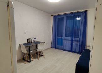 Сдача в аренду квартиры студии, 23 м2, Мурино, проспект Авиаторов Балтики, ЖК Авиатор