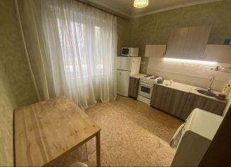 Аренда 1-комнатной квартиры, 41 м2, Москва, Симферопольский бульвар, 24к6