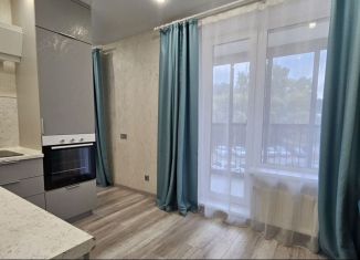 Квартира в аренду студия, 23 м2, Новосибирск, улица Гаранина, 41, Октябрьский район