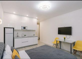 Сдаю в аренду квартиру студию, 34 м2, Новосибирск, Гурьевская улица, 177, Октябрьский район