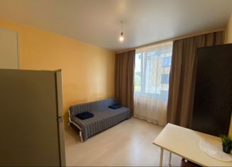 Сдается квартира студия, 18 м2, Лыткарино, 6-й микрорайон, 33