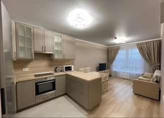 Продаю 1-ком. квартиру, 39.7 м2, Санкт-Петербург, Дальневосточный проспект, 35к1, Дальневосточный проспект