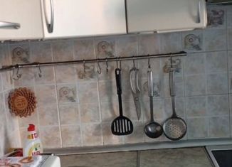 Сдается в аренду однокомнатная квартира, 30 м2, Новосибирск, улица Бориса Богаткова, 206, Октябрьский район