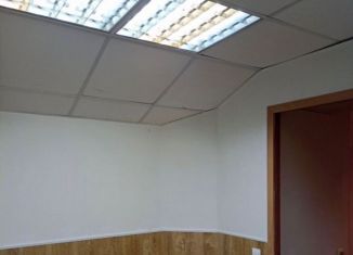 Сдам в аренду помещение свободного назначения, 30 м2, Санкт-Петербург, улица Чайковского, 39