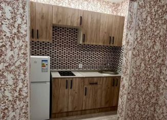 Сдам в аренду 1-ком. квартиру, 40 м2, Новосибирск, Плющихинская улица, 9, Октябрьский район