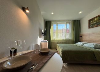 Сдам в аренду квартиру студию, 21 м2, Новосибирск, улица Кирова, 113/2, Октябрьский район