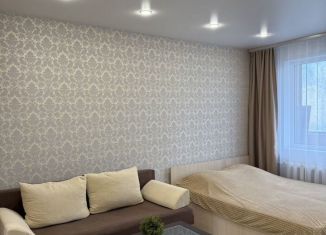 Сдача в аренду 1-ком. квартиры, 33.5 м2, Татарстан, проспект Ямашева, 54к1