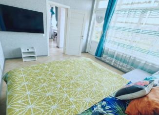 Сдается в аренду 1-комнатная квартира, 22 м2, Сочи, Красная улица, 34А, микрорайон Центральный