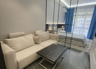 Сдается в аренду квартира студия, 30 м2, посёлок городского типа Дагомыс, Батумское шоссе, 28Ак1