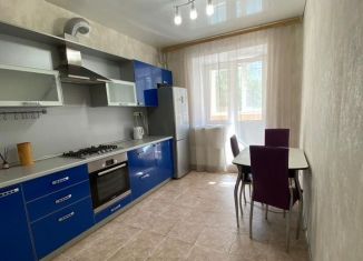 Сдача в аренду однокомнатной квартиры, 41 м2, Краснодар, улица Селезнёва, 104/1, микрорайон Черемушки