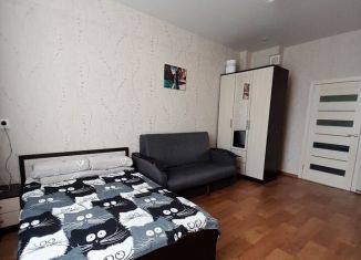 Продам 1-комнатную квартиру, 26.2 м2, Казань, улица Побежимова, 47