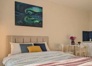 Сдам в аренду квартиру студию, 26 м2, Сочи, Ясногорская улица, 16/2к7