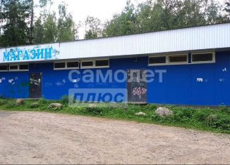 Продаю торговую площадь, 200 м2, Московская область, Лесная улица, 3