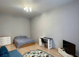 Сдаю в аренду однокомнатную квартиру, 33 м2, Ишим, улица Чкалова, 20