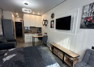 Квартира в аренду студия, 24 м2, Сочи, Ясногорская улица, 16/6к5