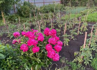 Дача на продажу, 40 м2, Республика Башкортостан, СНТ Ильмень, 163