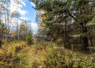 Продаю земельный участок, 25 сот., деревня Шульгино, Лесная улица