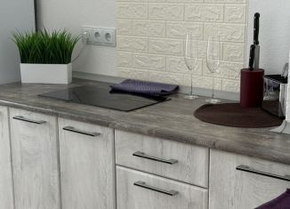 Аренда 1-ком. квартиры, 38 м2, Тверь, Новочеркасская улица