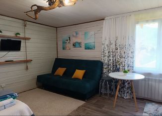 Сдается в аренду комната, 41 м2, село Артыбаш, Подгорная улица, 30