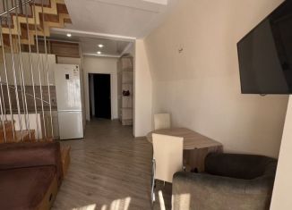 Аренда 1-комнатной квартиры, 38 м2, Сочи, Клубничная улица, 2/4