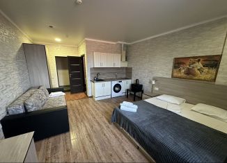 Сдача в аренду квартиры студии, 33 м2, Ростов-на-Дону, проспект 40-летия Победы, 120