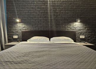 Аренда двухкомнатной квартиры, 66 м2, Ростов-на-Дону, улица Шаумяна, 62