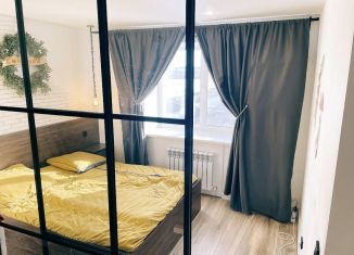 Сдается в аренду 1-ком. квартира, 45.3 м2, Йошкар-Ола, улица Йывана Кырли, 50, микрорайон 9Б