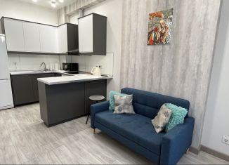 Сдается в аренду 1-комнатная квартира, 45 м2, Ростов-на-Дону, переулок Островского, 1А