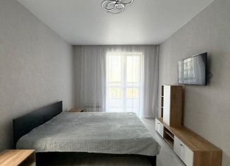 Сдам в аренду двухкомнатную квартиру, 52.6 м2, Пенза, улица Мира, 78