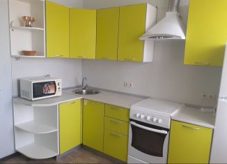 Сдам 1-комнатную квартиру, 49 м2, Ростов-на-Дону, улица Пацаева, 7/2