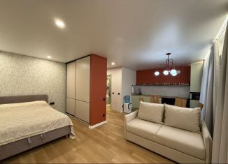 Сдаю в аренду однокомнатную квартиру, 46 м2, Йошкар-Ола, улица Дружбы, 111, 3-й микрорайон