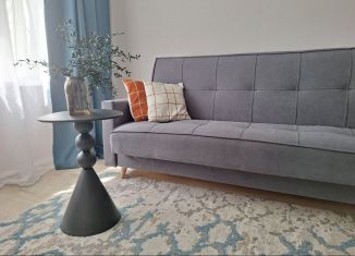 Сдается 1-ком. квартира, 34 м2, Нижний Новгород, Молодёжный проспект, 78