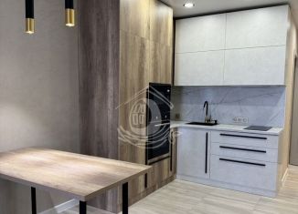 Продаю квартиру студию, 29 м2, Барнаул, Павловский тракт, 196 к1