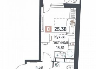 Продаю квартиру студию, 25.4 м2, Мурино, ЖК Авиатор