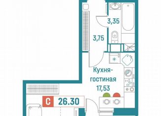 Продажа квартиры студии, 26.3 м2, Мурино, ЖК Графика