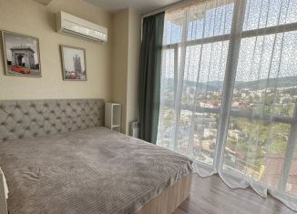 Аренда 1-ком. квартиры, 35.1 м2, Сочи, Дагомысская улица, 3/1