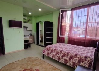 Аренда квартиры студии, 30 м2, село Орёл-Изумруд, Банановая улица, 10Б