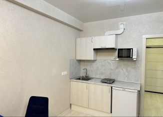 Сдача в аренду квартиры студии, 20 м2, Краснодар, Московская улица, 152, Музыкальный микрорайон