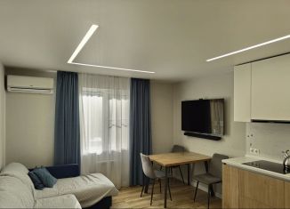 Сдаю двухкомнатную квартиру, 64 м2, село Раздольное, Тепличная улица, 83